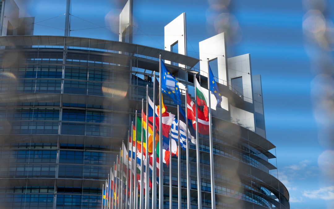 Kandidatams į Europos Parlamentą skurdas ir Briuselio lobistai rūpi mažai