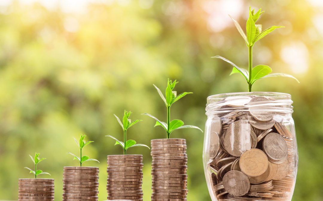 Tvarios finansinės paslaugos: pasirinkti padės ekspertai, apsispręs vartotojai (2019)