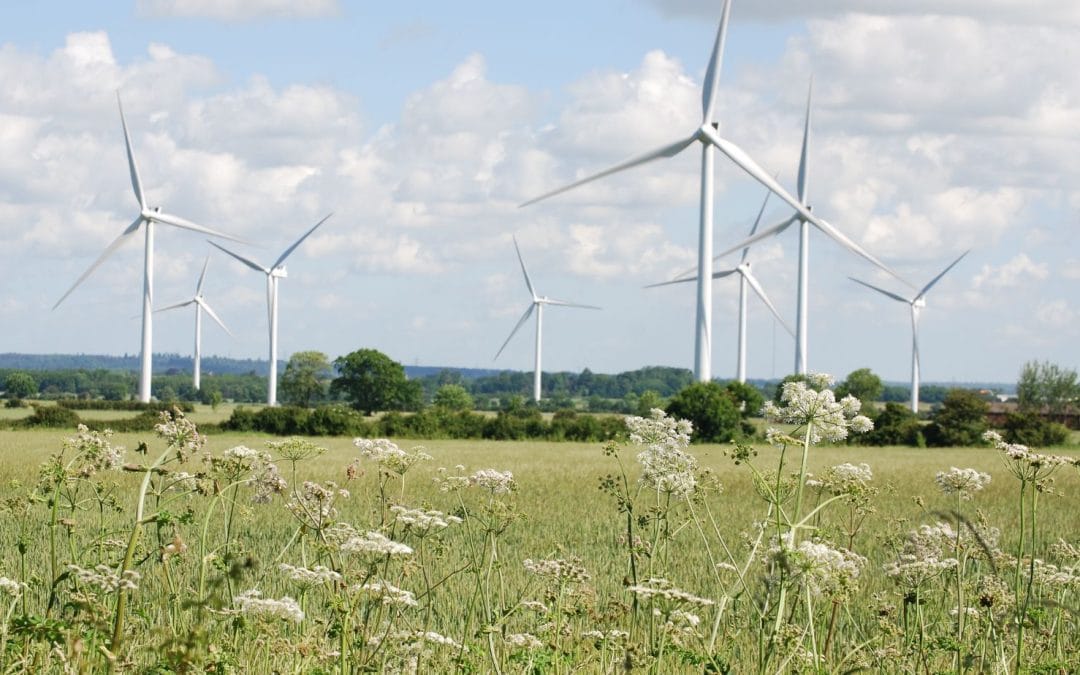 Kovodami už klimatą, auginame ekonomiką. Ar tai realu?